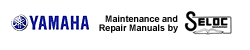 yamaha outboard motor repair and service