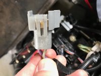 Gray connector to Coil 1.jpeg
