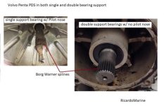 PDS double and single bearing explained.jpg