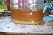 small amout water in oil4 old oil.jpg