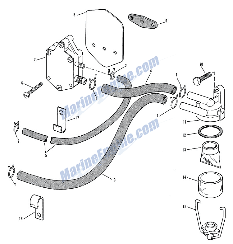Evinrude Fuel Pump And Filter Group Parts for 1964 40hp 40462 Outboard