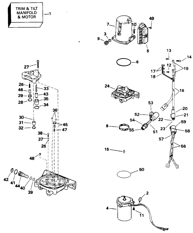 power trim/tilt - quiet rider Parts for 1993 115hp e115txats Outboard Motor