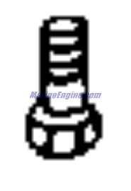 Evinrude Johnson OMC 0114990 - Anode Screw