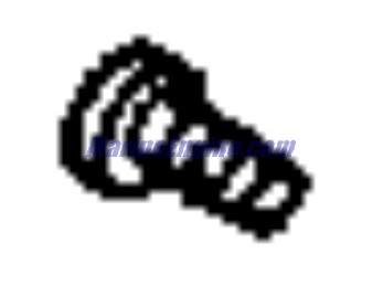 Evinrude Johnson OMC 0115213 - Screw