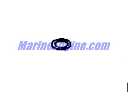 Evinrude Johnson OMC 0115215 - LockWasher