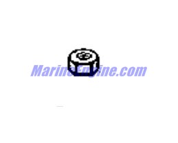 Evinrude Johnson OMC Evinrude Johnson OMC OMC0115492
0115492