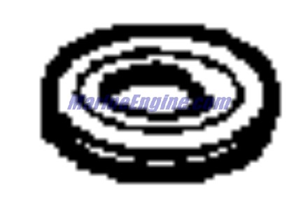 Evinrude Johnson OMC 0115531 - Washer