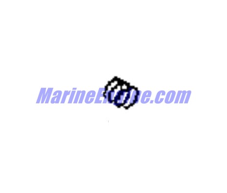 Evinrude Johnson OMC 0115580 - Spring