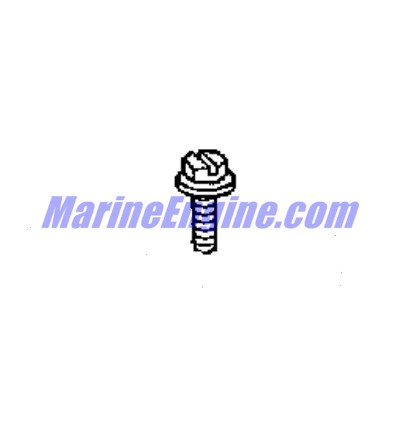 Evinrude Johnson OMC 0115751 - Screw & Washer Assembly