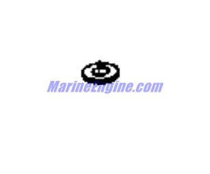 Evinrude Johnson OMC 0115752 - Plain Washer