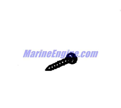 Evinrude Johnson OMC 0122822 - Screw