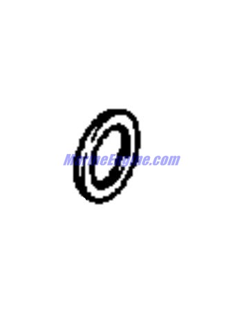 Evinrude Johnson OMC 0123050 - Washer