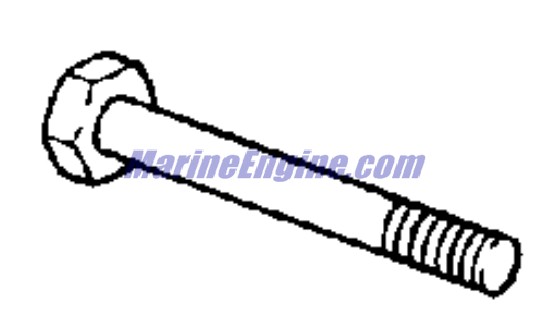 Evinrude Johnson OMC 0123346 - Shift Lever Screw