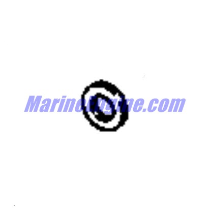 Evinrude Johnson OMC 0123517 - Washer