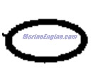 Evinrude Johnson OMC 0123529 - O-RING,