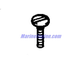 Evinrude Johnson OMC 0124573 - Screw