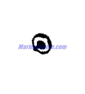 Evinrude Johnson OMC 0124627 - Washer