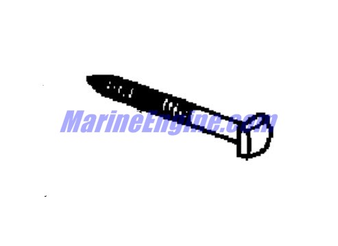 Evinrude Johnson OMC 0124818 - Lag Screw