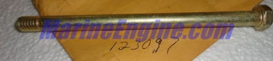 Evinrude Johnson OMC 0125136 - Bolt