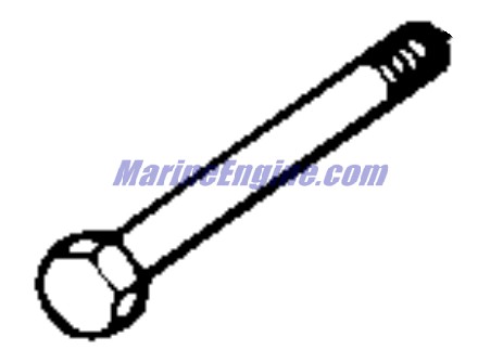 Evinrude Johnson OMC 0125137 - Bolt