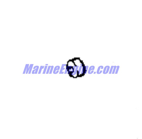Evinrude Johnson OMC 0125998 - Shoe