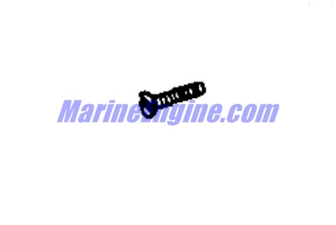 Evinrude Johnson OMC 0126027 - Screw