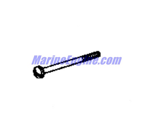 Evinrude Johnson OMC 0126044 - Screw