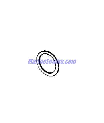 Evinrude Johnson OMC 0126487 - Washer
