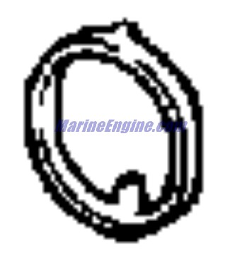 Evinrude Johnson OMC Evinrude Johnson OMC OMC0126779
0126779