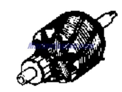 Evinrude Johnson OMC 0172589 - Armature