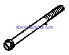 Evinrude Johnson OMC 0172591 - Thru Bolt #00748