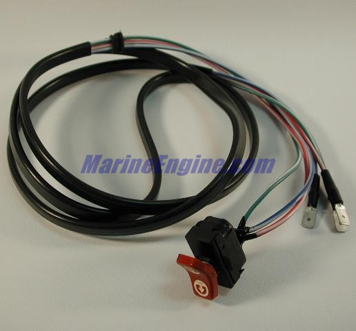 Evinrude Johnson OMC 0173648 - Switch & Lead