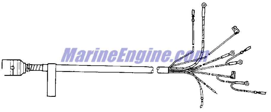 Evinrude Johnson OMC 0174969 - Inst Harness 20\'