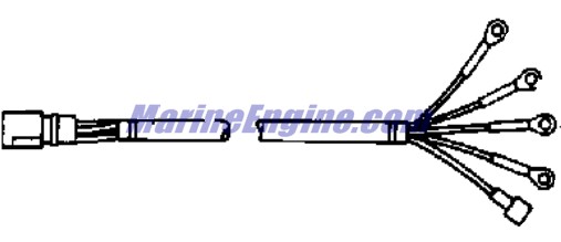 Evinrude Johnson OMC 0175905 - Ca Assembly, Key SW-18FT