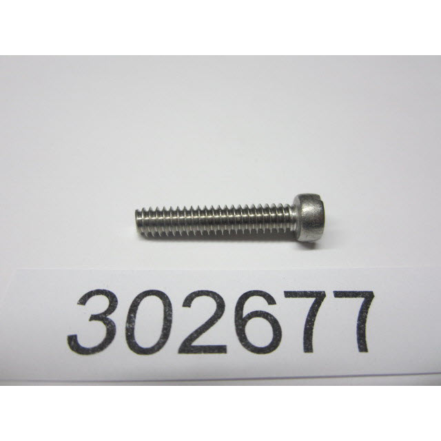 Evinrude Johnson OMC 0302677 - Screw
