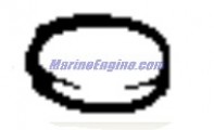 Evinrude Johnson OMC 0303614 - Disc Valve