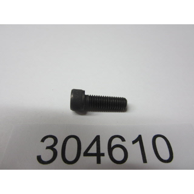 Evinrude Johnson OMC 0304610 - Screw