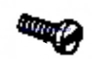 Evinrude Johnson OMC 0306474 - Screw