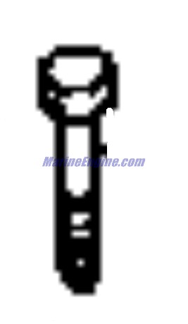 Evinrude Johnson OMC 0306803 - Screw