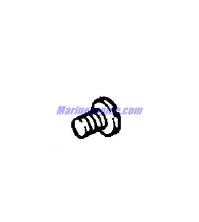 Evinrude Johnson OMC 0306915 - Screw