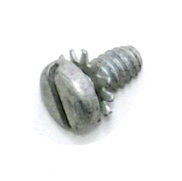 Evinrude Johnson OMC 0307019 - Screw