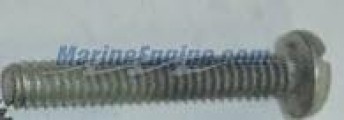 Evinrude Johnson OMC 0307190 - Screw