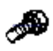 Evinrude Johnson OMC 0307194 - Screw