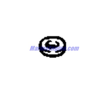 Evinrude Johnson OMC 0307472 - Washer