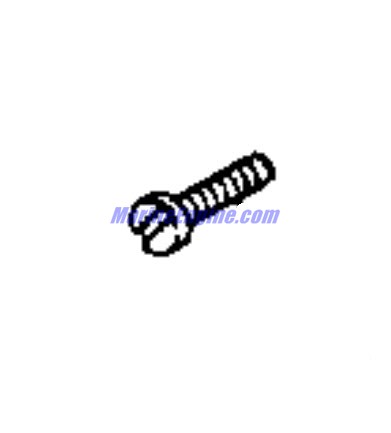 Evinrude Johnson OMC 0307506 - Screw