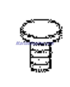 Evinrude Johnson OMC 0307718 - Screw