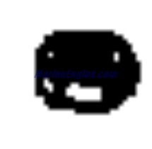 Evinrude Johnson OMC 0308332 - Nut/12X13