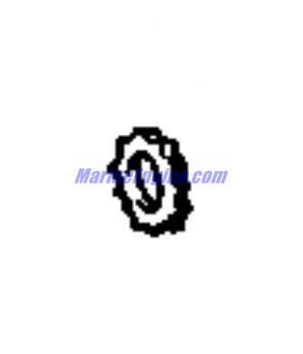 Evinrude Johnson OMC 0309776 - Washer