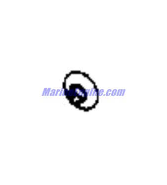 Evinrude Johnson OMC 0310099 - Washer