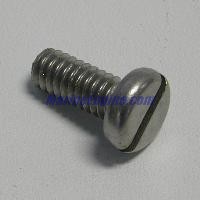 Evinrude Johnson OMC 0310539 - Screw, Rentainer